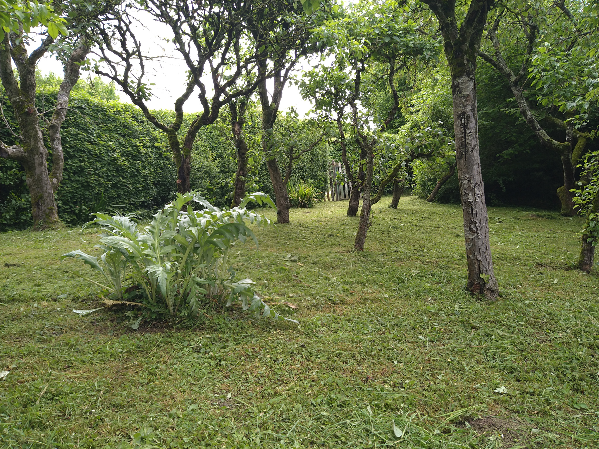 Agence immobilière de Alc Immobilier