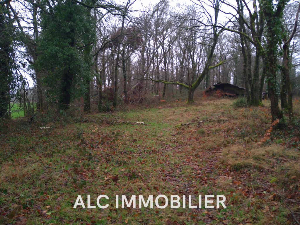 Agence immobilière de Alc Immobilier