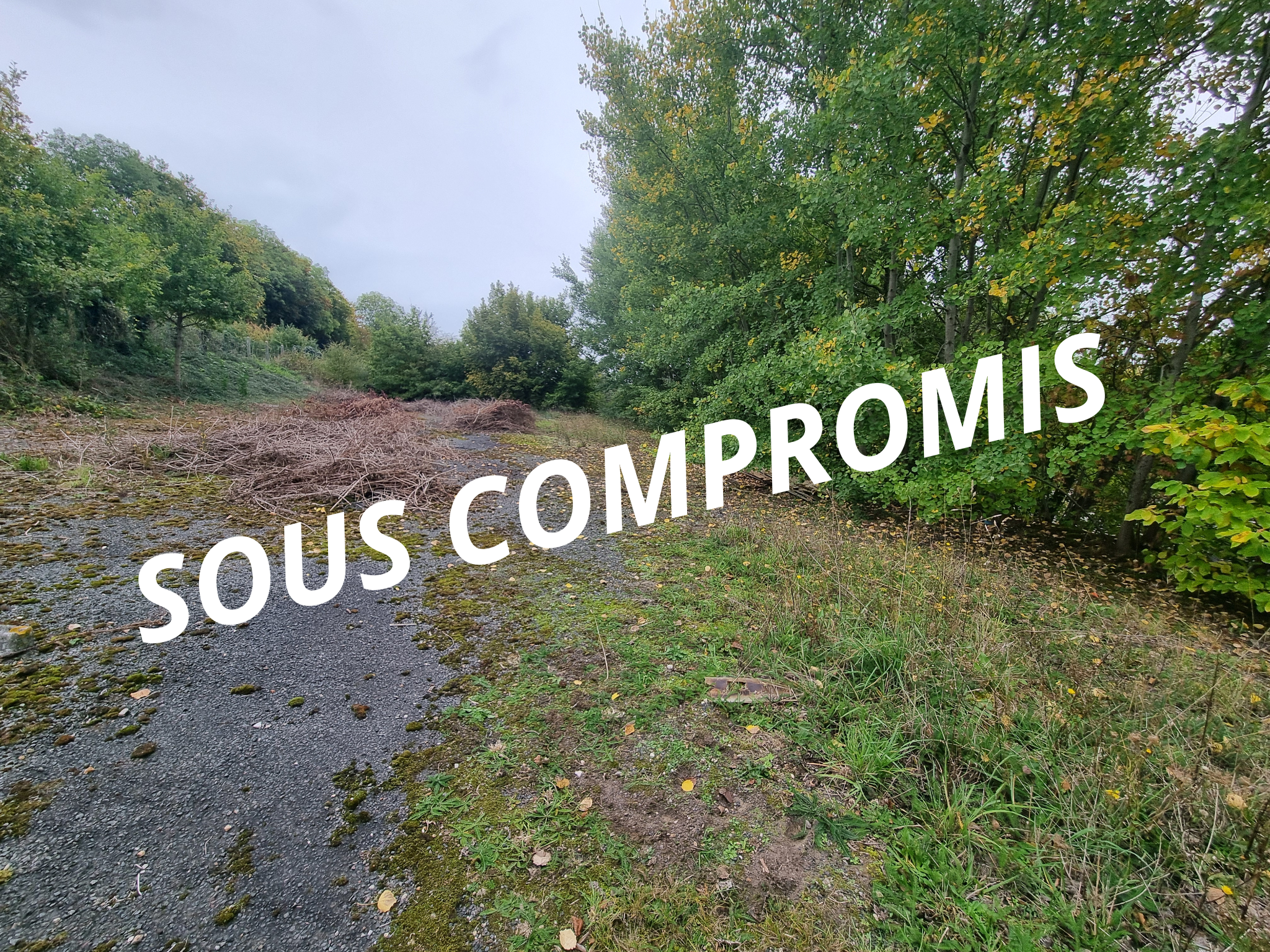 Agence immobilière de Alc Immobilier