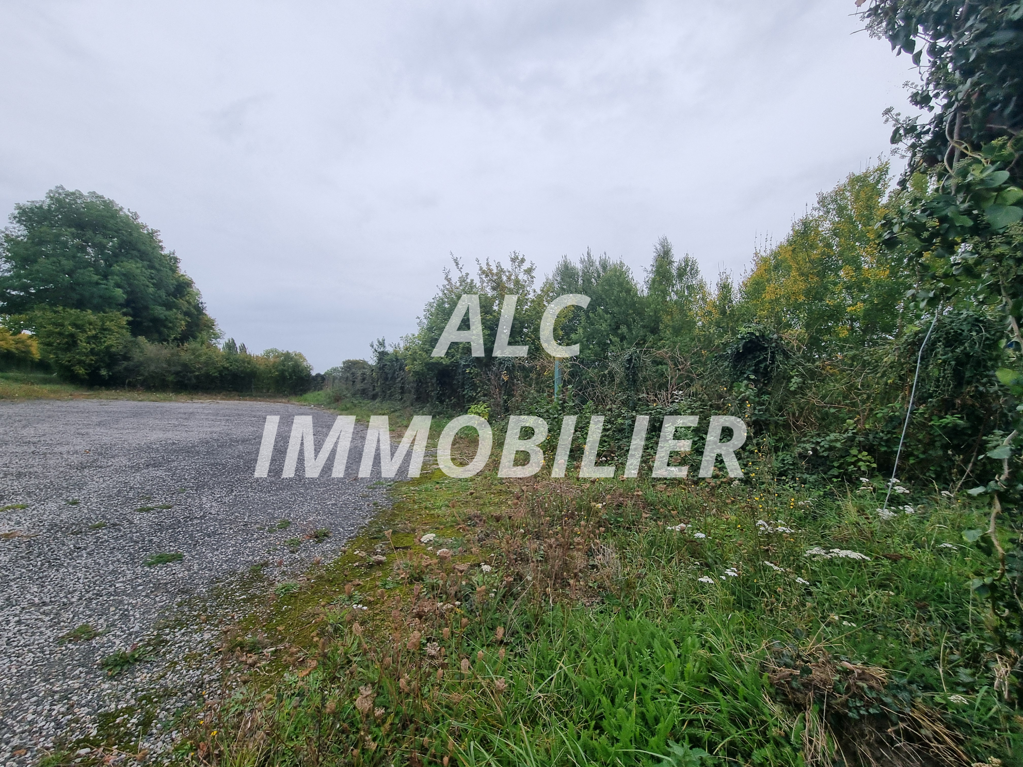 Agence immobilière de Alc Immobilier