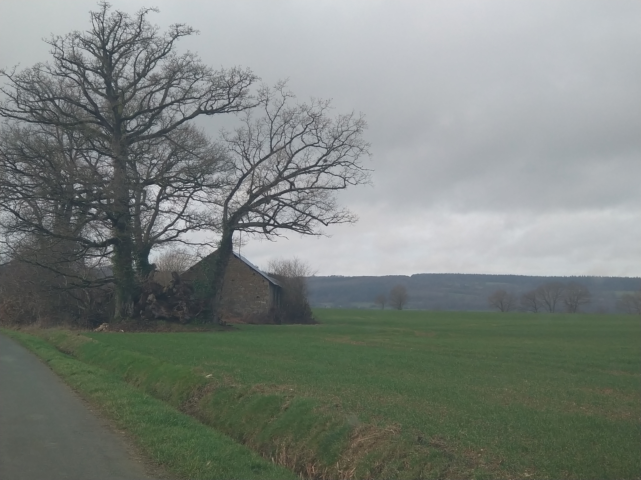 Agence immobilière de Alc Immobilier