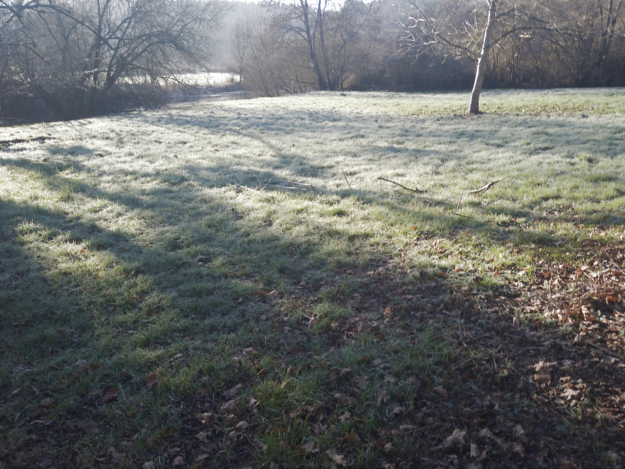 Agence immobilière de Alc Immobilier