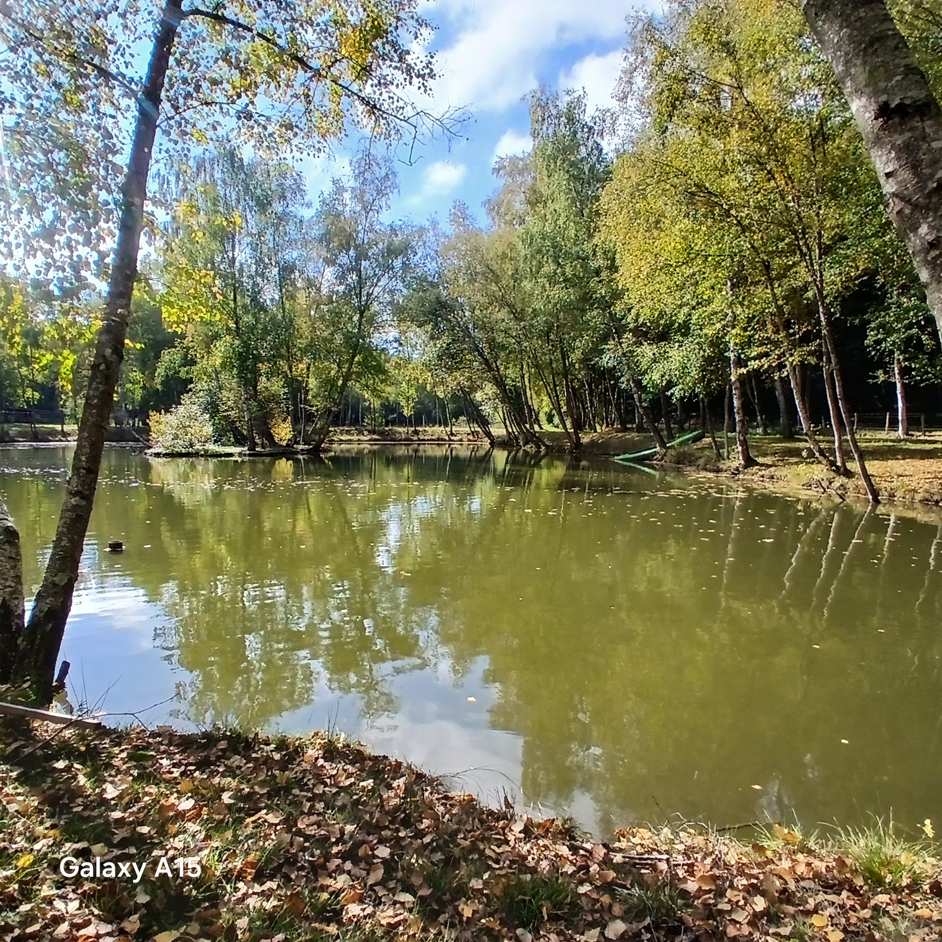 Agence immobilière de Alc Immobilier